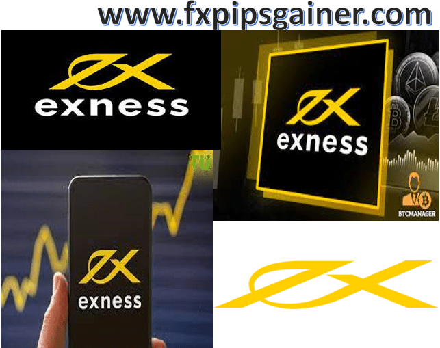 Understanding the Global Exness Broker A Comprehensive Guide